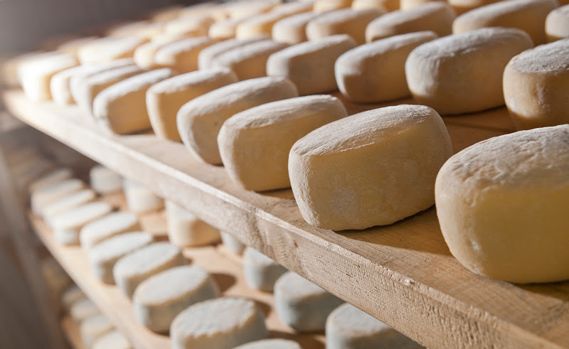 Formaggio