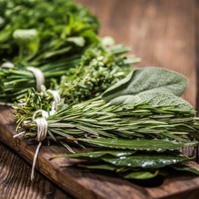 Orto e Aromatiche